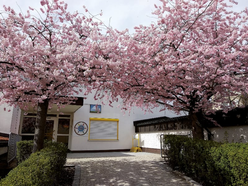 Kindergarten Eingang